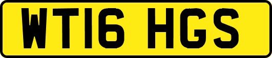 WT16HGS
