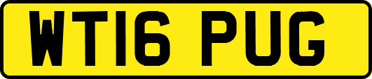 WT16PUG