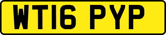 WT16PYP