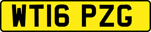 WT16PZG