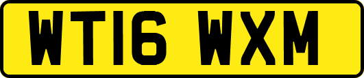 WT16WXM