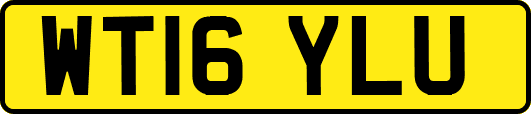 WT16YLU
