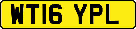 WT16YPL