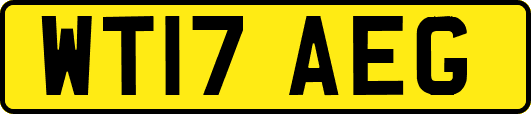 WT17AEG