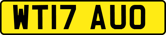 WT17AUO