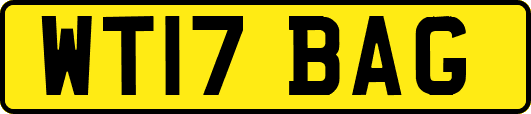 WT17BAG