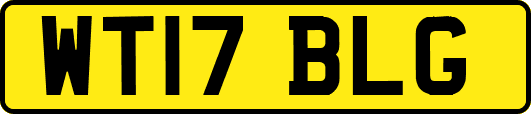 WT17BLG