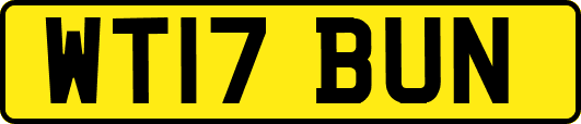 WT17BUN