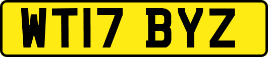 WT17BYZ