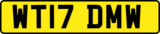WT17DMW