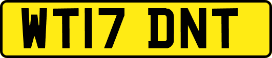 WT17DNT