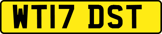 WT17DST