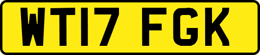 WT17FGK