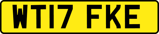 WT17FKE