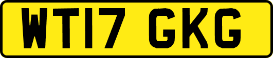 WT17GKG