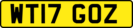 WT17GOZ
