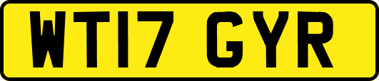 WT17GYR