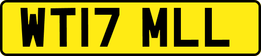 WT17MLL