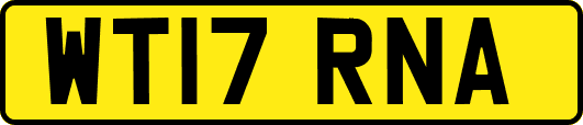 WT17RNA