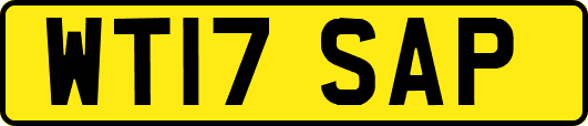 WT17SAP