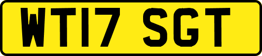 WT17SGT