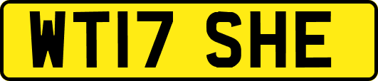 WT17SHE