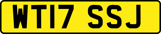 WT17SSJ