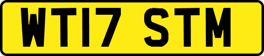 WT17STM