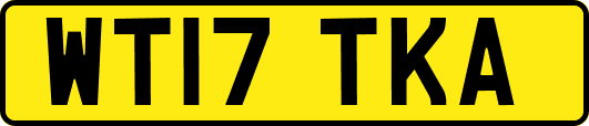 WT17TKA