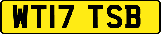 WT17TSB