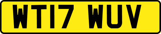 WT17WUV