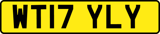 WT17YLY