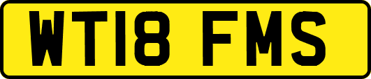 WT18FMS