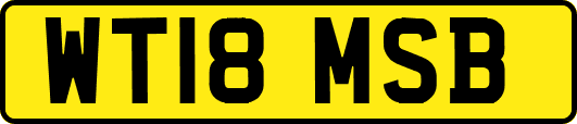 WT18MSB