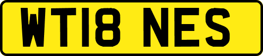 WT18NES