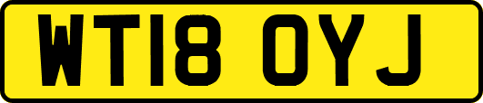 WT18OYJ