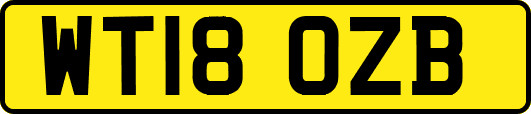 WT18OZB