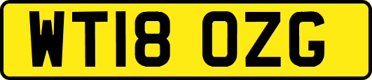 WT18OZG