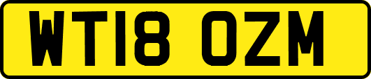 WT18OZM