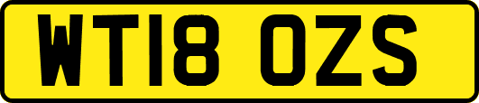 WT18OZS