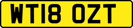 WT18OZT
