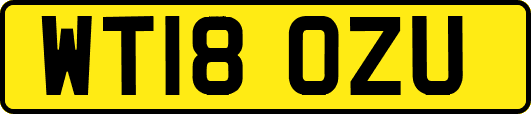 WT18OZU