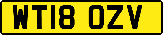 WT18OZV