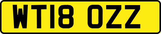 WT18OZZ