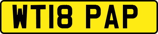 WT18PAP