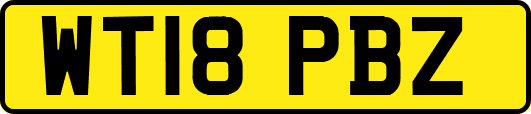 WT18PBZ