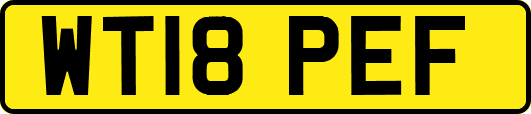 WT18PEF