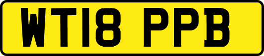 WT18PPB