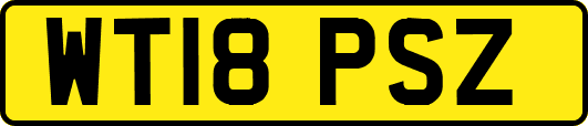 WT18PSZ