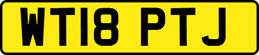 WT18PTJ